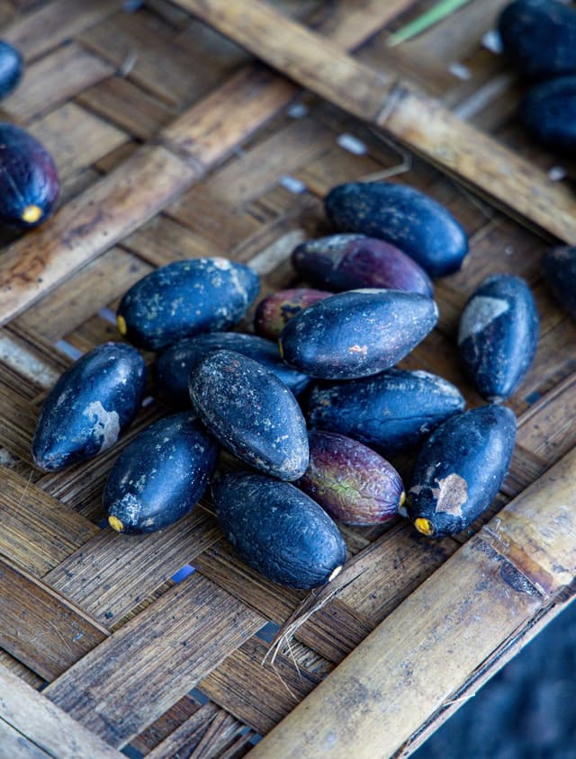 Image of Pili
