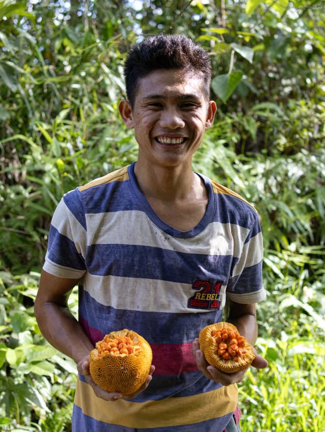 Image of Pupuan