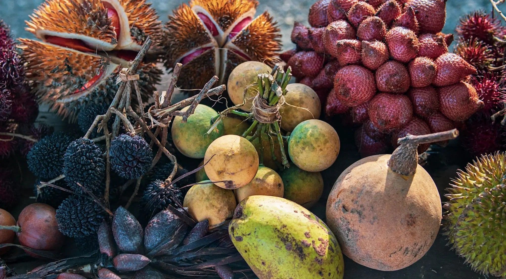 What Lokalpedia does