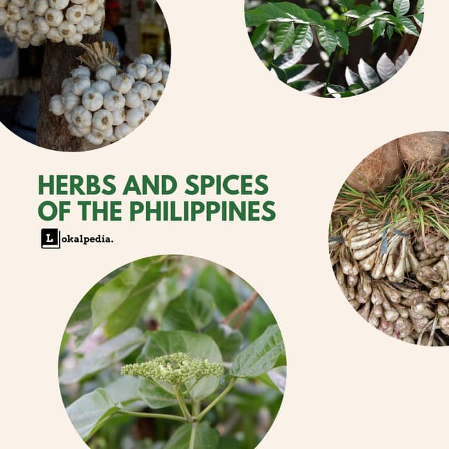 Image for Herbs and Spices of the Philippines